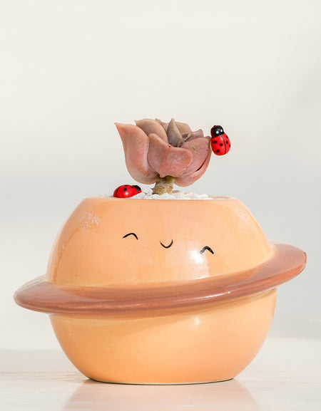 Kawaii Planet Saturn Pot